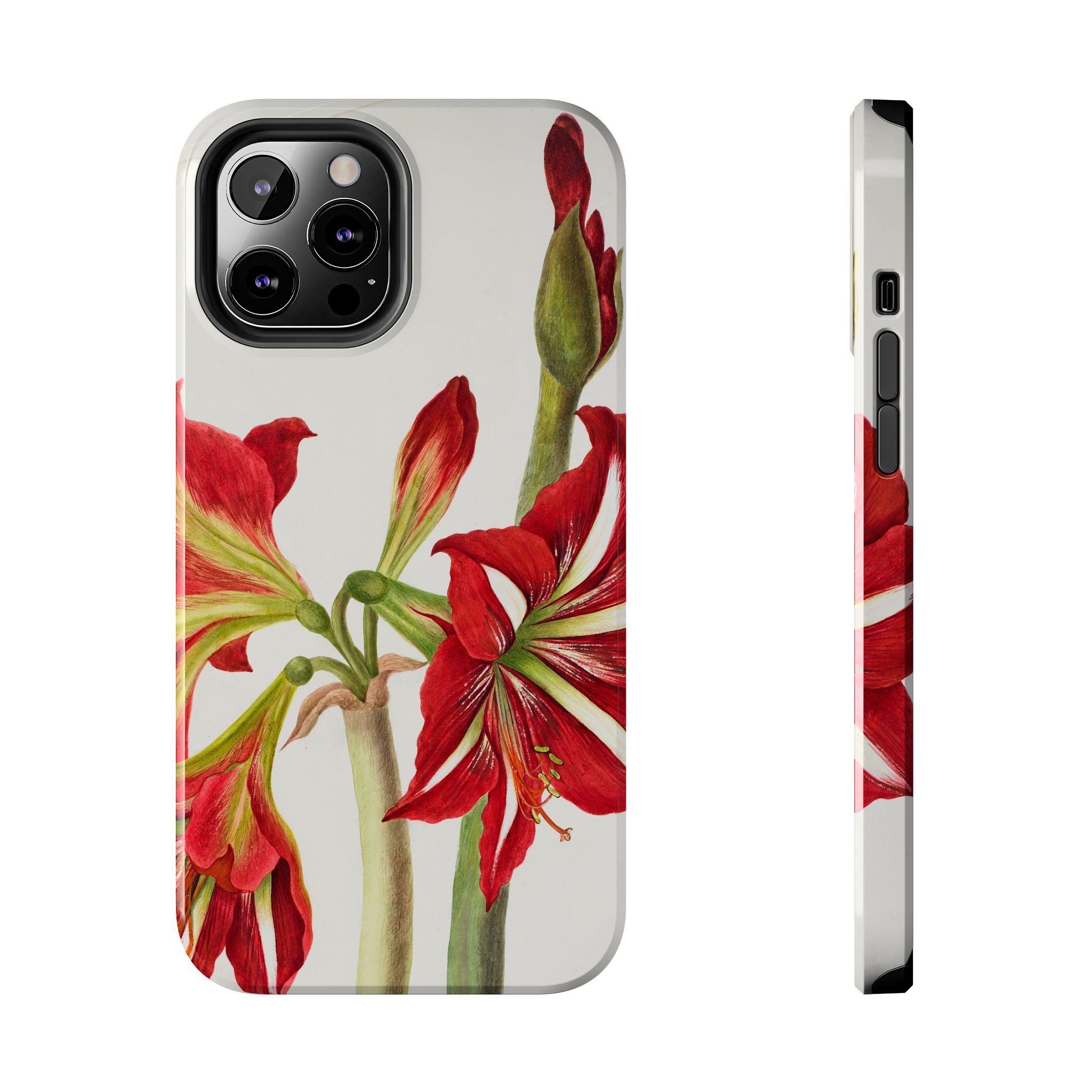 Amaryllis Phone Case - Image 25